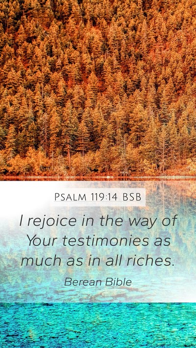 Psalm 119:14 BSB Bible Verse Image