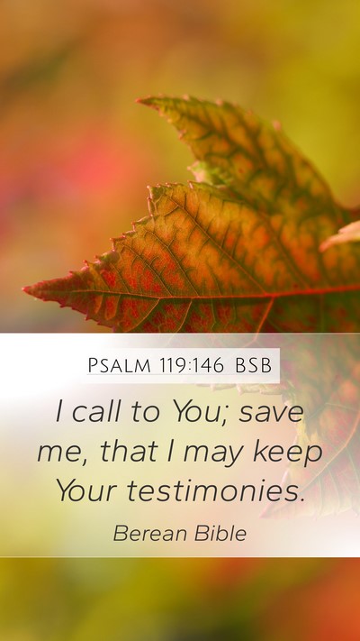 Psalm 119:146 BSB Mobile Phone Wallpaper - I call to You; save me, that I may keep Your - Mobile Bible Verse Wallpaper