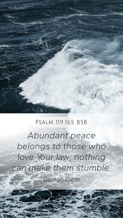 Psalm 119:165 BSB Bible Verse Image
