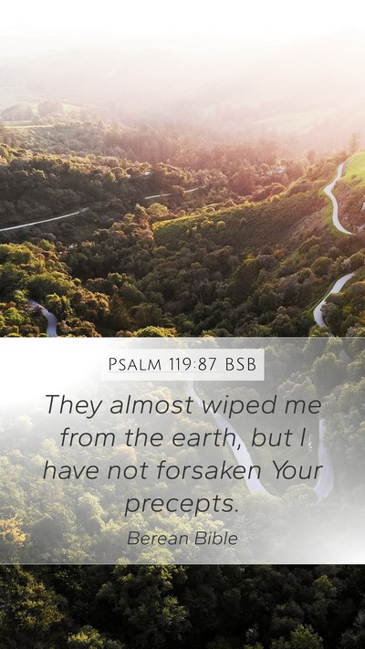 Psalm 119:87 BSB Mobile Phone Wallpaper - They almost wiped me from the earth, but I have - Mobile Bible Verse Wallpaper