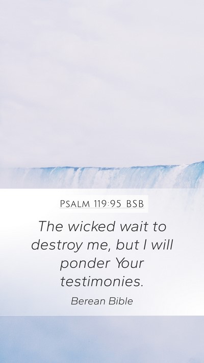 Psalm 119:95 BSB Bible Verse Image
