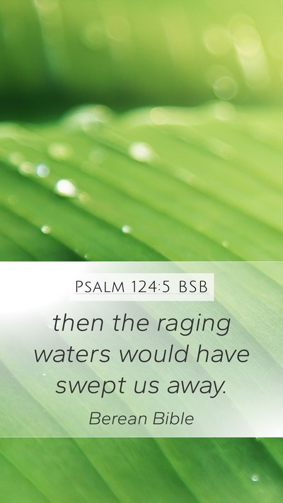Psalm 124:5 BSB Mobile Phone Wallpaper - then the raging waters would have swept us - Mobile Bible Verse Wallpaper