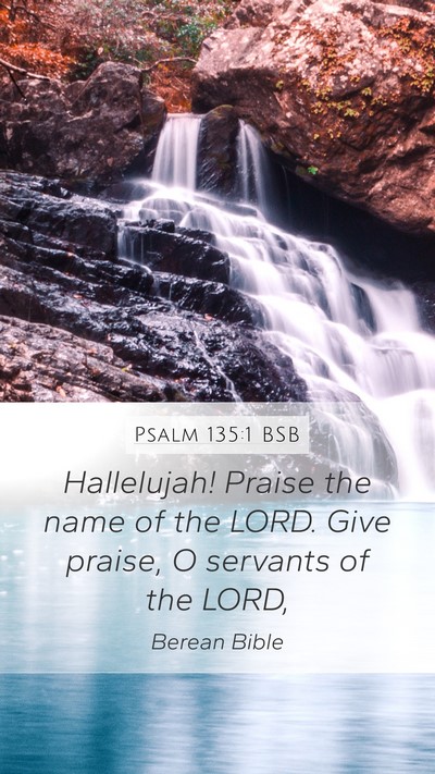 Psalm 135:1 BSB Mobile Phone Wallpaper - Hallelujah! Praise the name of the LORD. Give - Mobile Bible Verse Wallpaper