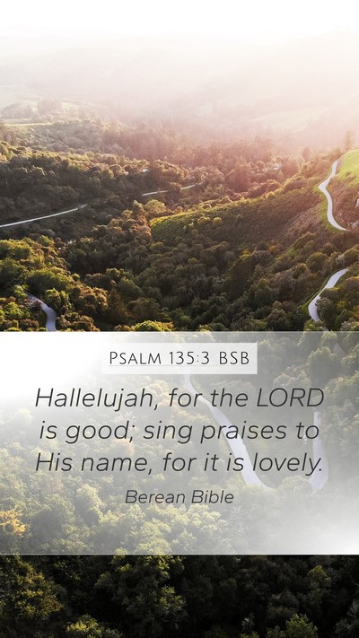 Psalm 135:3 BSB Bible Verse Image