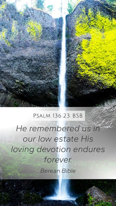 Psalm 136:23 BSB Bible Verse Image
