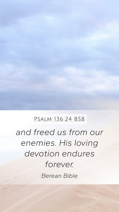 Psalm 136:24 BSB Bible Verse Image
