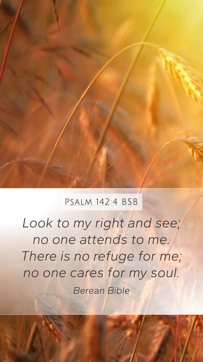Psalm 142:4 BSB Bible Verse Image