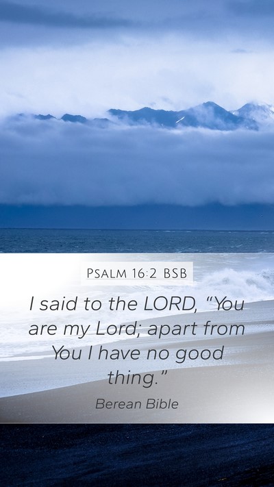 Psalm 16:2 BSB Bible Verse Image