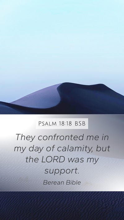 Psalm 18:18 BSB Bible Verse Image
