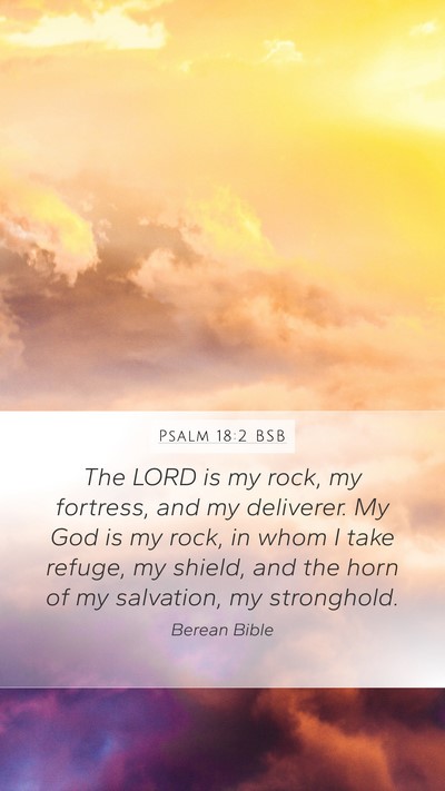 Psalm 18:2 BSB Bible Verse Image