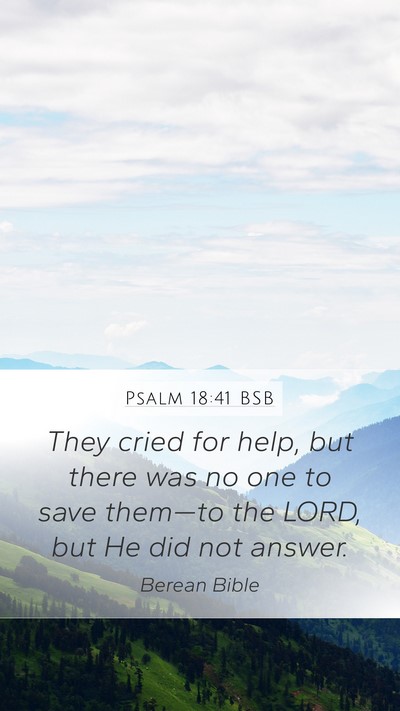 Psalm 18:41 BSB Bible Verse Image