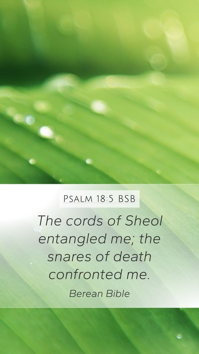 Psalm 18:5 BSB Bible Verse Image