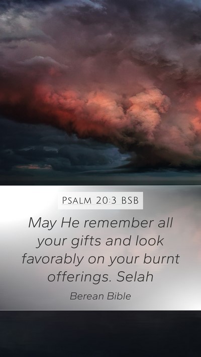 Psalm 20:3 BSB Bible Verse Image