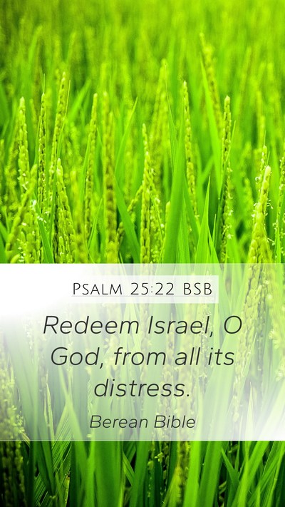 Psalm 25:22 BSB Bible Verse Image