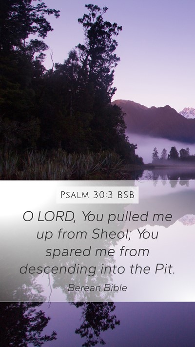 Psalm 30:3 BSB Bible Verse Image