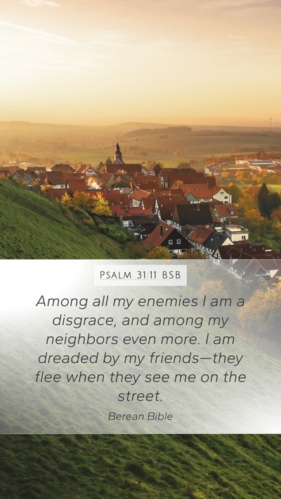 Psalm 31:11 BSB Bible Verse Image