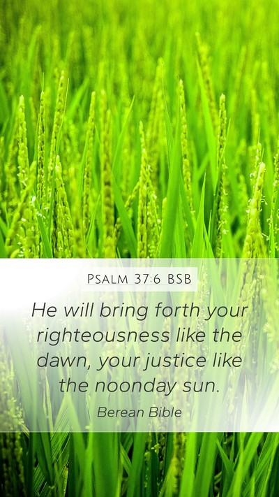 Psalm 37:6 BSB Bible Verse Image