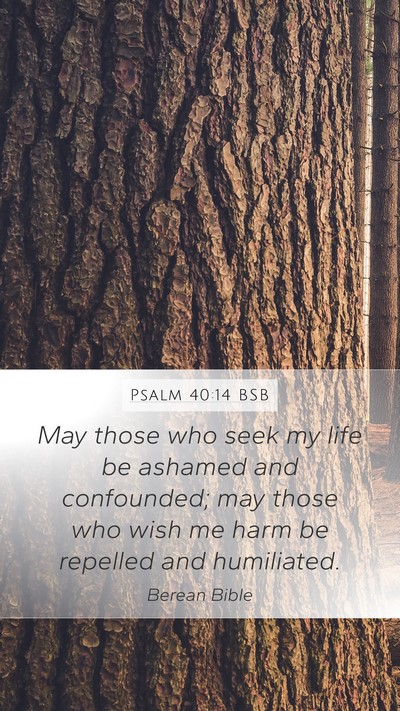 Psalm 40:14 BSB Bible Verse Image