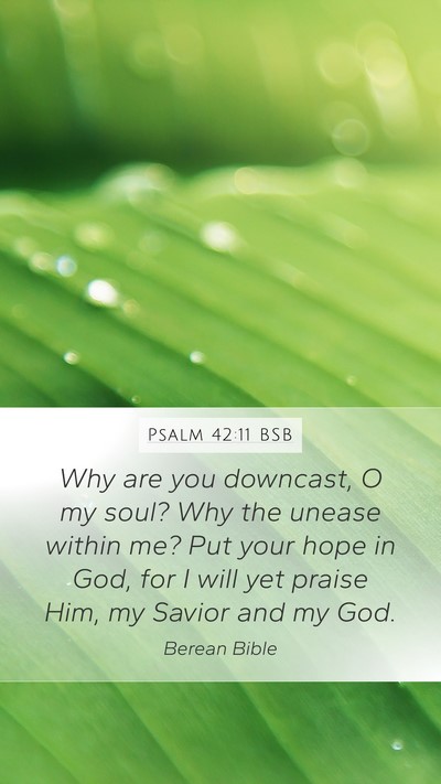 Psalm 42:11 BSB Bible Verse Image