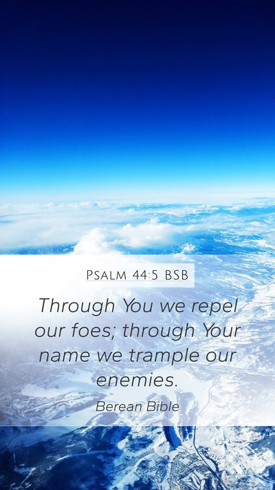 Psalm 44:5 BSB Bible Verse Image