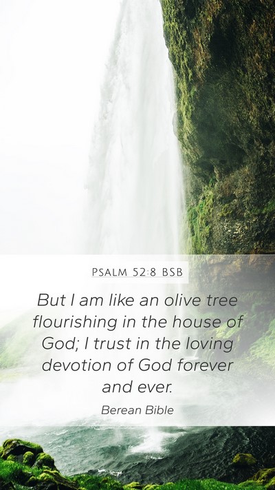 Psalm 52:8 BSB Bible Verse Image