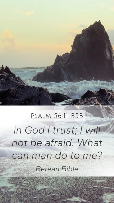 Psalm 56:11 BSB Mobile Phone Wallpaper - in God I trust; I will not be afraid. What can - Mobile Bible Verse Wallpaper