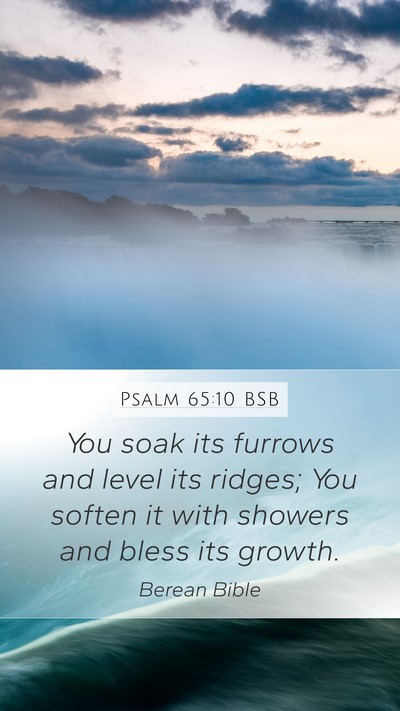 Psalm 65:10 BSB Bible Verse Image