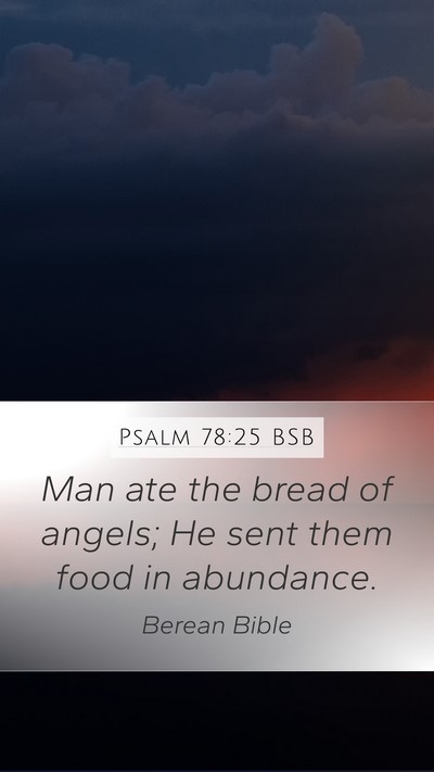 Psalm 78:25 BSB Mobile Phone Wallpaper - Man ate the bread of angels; He sent them food in - Mobile Bible Verse Wallpaper