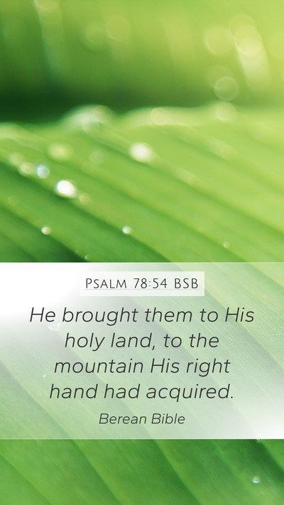 Psalm 78:54 BSB Bible Verse Image