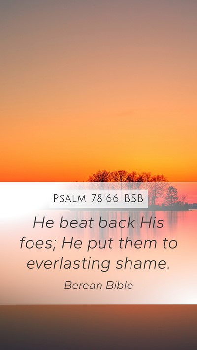 Psalm 78:66 BSB Bible Verse Image