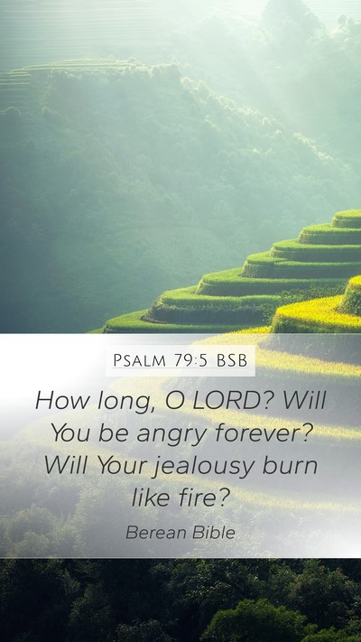 Psalm 79:5 BSB Bible Verse Image