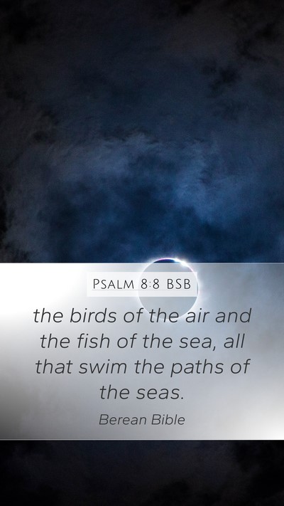 Psalm 8:8 BSB Bible Verse Image
