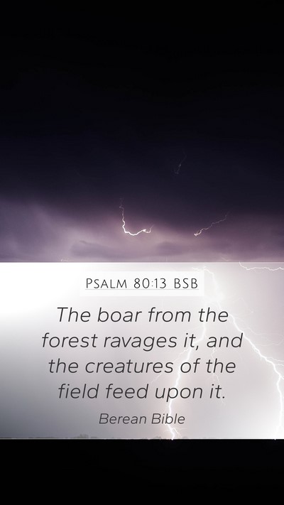 Psalm 80:13 BSB Bible Verse Image