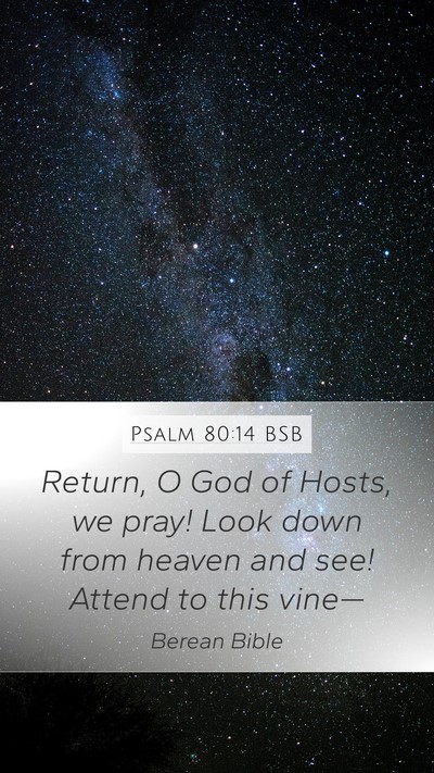 Psalm 80:14 BSB Bible Verse Image