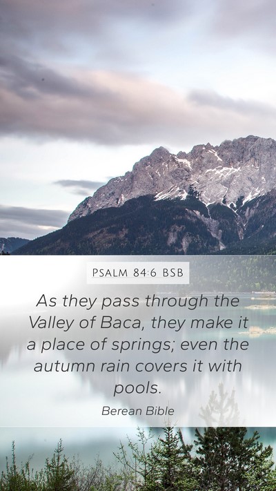Psalm 84:6 BSB Mobile Phone Wallpaper - As they pass through the Valley of Baca, they - Mobile Bible Verse Wallpaper