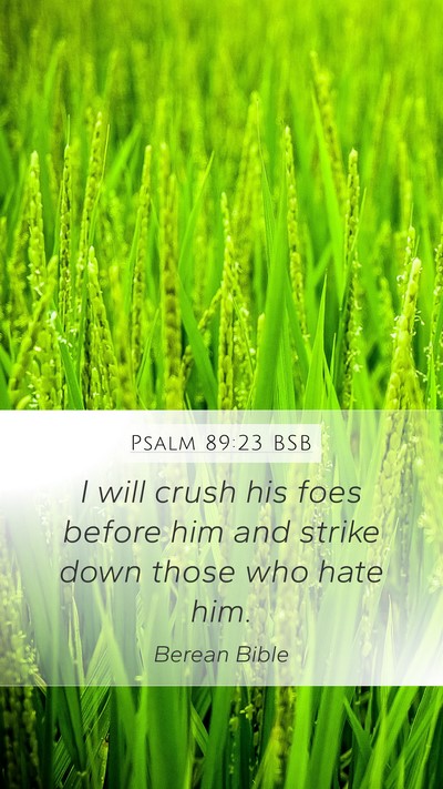 Psalm 89:23 BSB Bible Verse Image