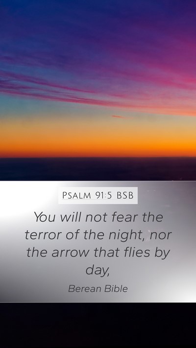 Psalm 91:5 BSB Mobile Phone Wallpaper - You will not fear the terror of the night, nor - Mobile Bible Verse Wallpaper