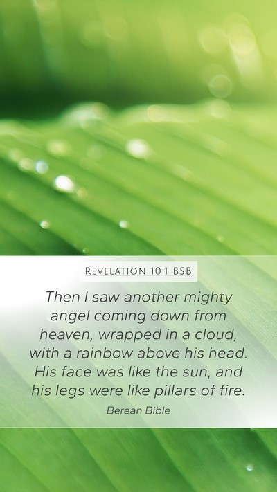 Revelation 10:1 BSB Bible Verse Image