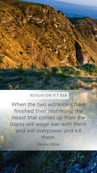 Revelation 11:7 BSB Bible Verse Image
