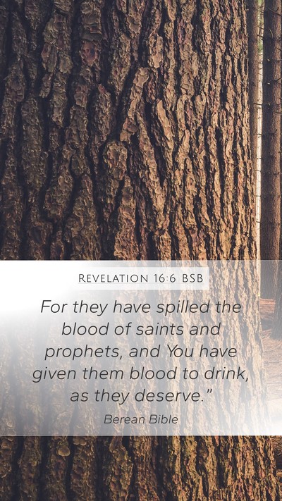 Revelation 16:6 BSB Bible Verse Image
