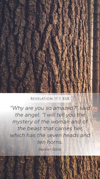 Revelation 17:7 BSB Bible Verse Image