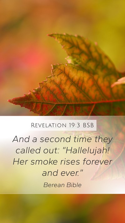 Revelation 19:3 BSB Bible Verse Image
