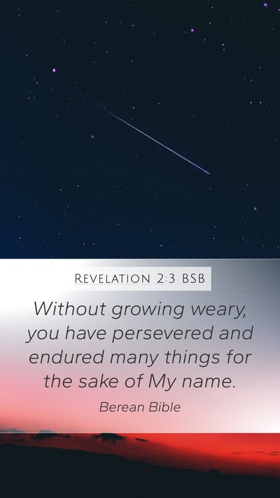 Revelation 2:3 BSB Bible Verse Image