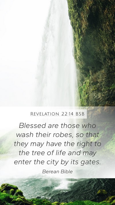 Revelation 22:14 BSB Bible Verse Image