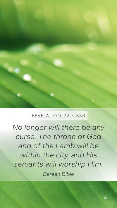 Revelation 22:3 BSB Bible Verse Image