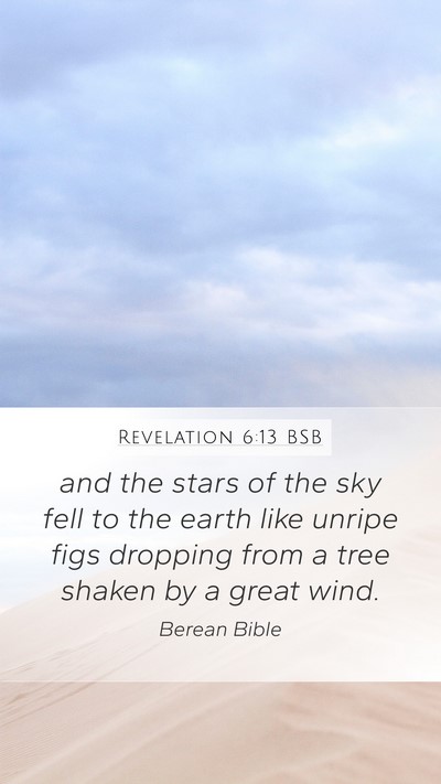 Revelation 6:13 BSB Bible Verse Image