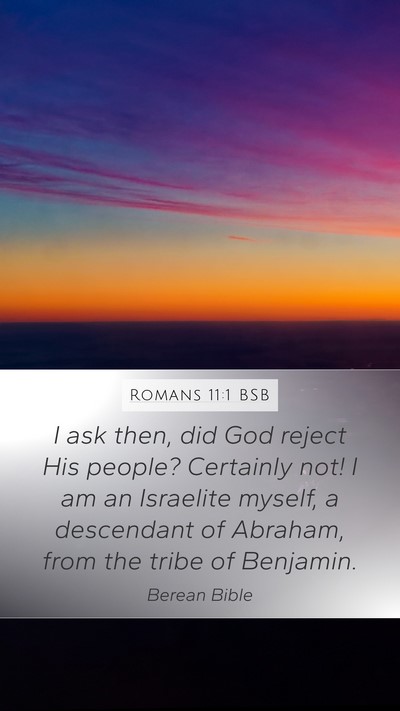 Romans 11:1 BSB Bible Verse Image