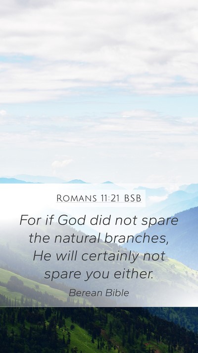 Romans 11:21 BSB Mobile Phone Wallpaper - For if God did not spare the natural branches, He - Mobile Bible Verse Wallpaper