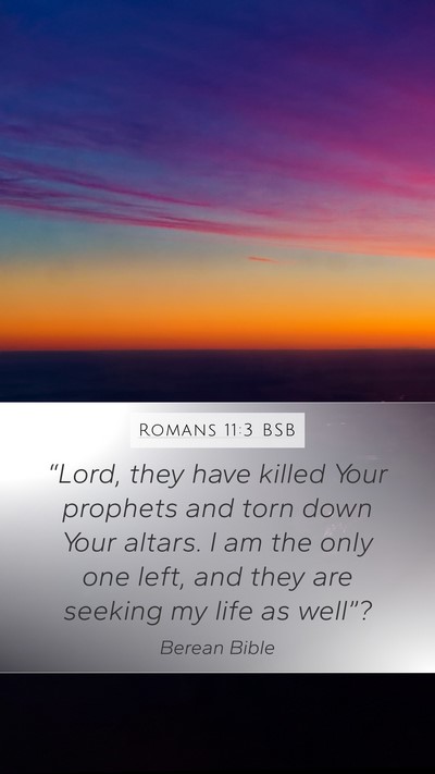 Romans 11:3 BSB Mobile Phone Wallpaper - “Lord, they have killed Your prophets and torn - Mobile Bible Verse Wallpaper