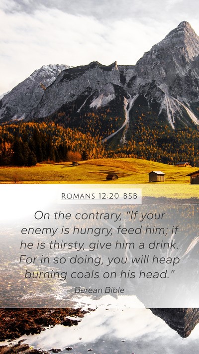 Romans 12:20 BSB Bible Verse Image